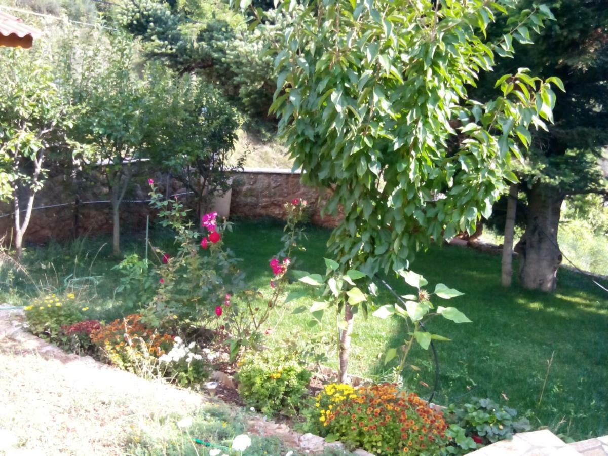 Elatos Cozy Studio Ano Trikala Buitenkant foto