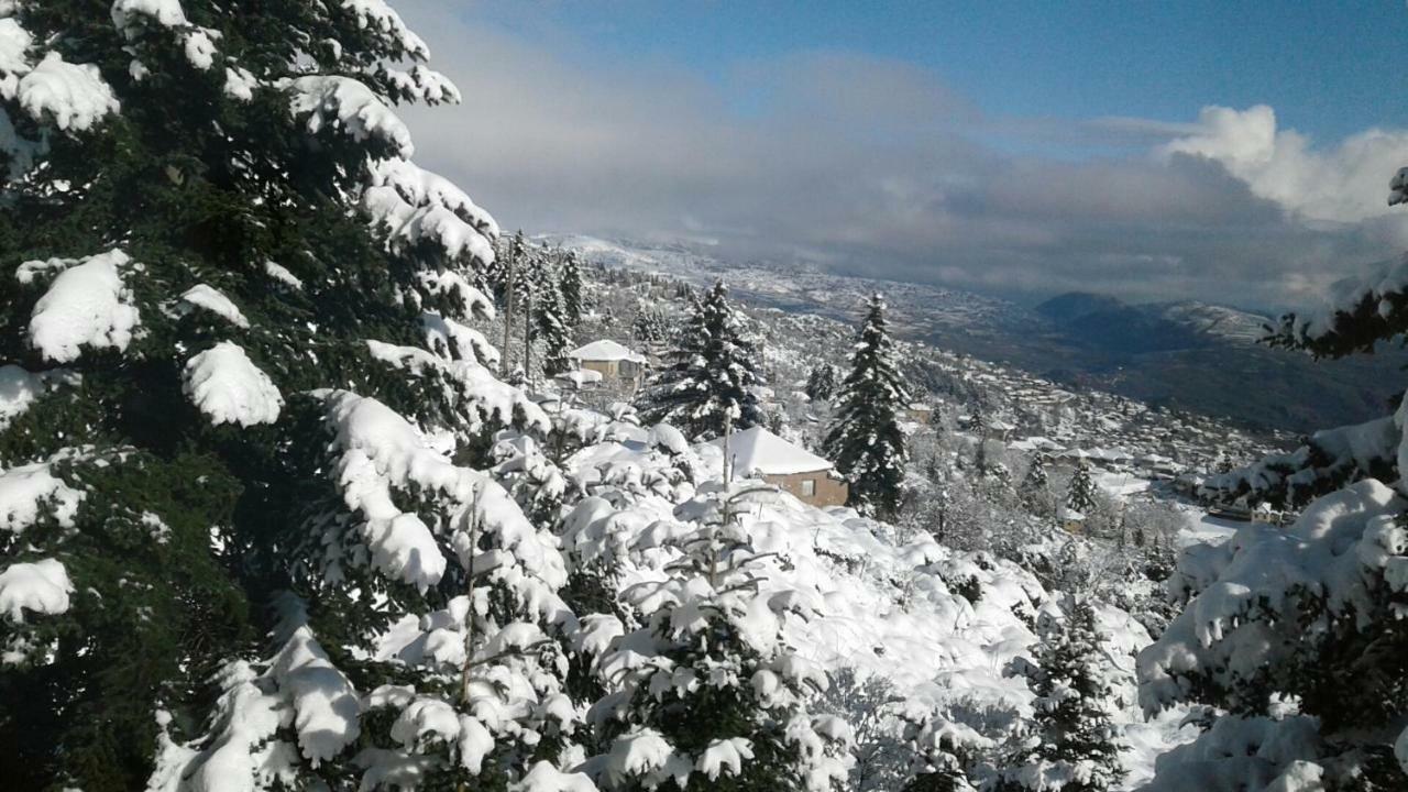 Elatos Cozy Studio Ano Trikala Buitenkant foto