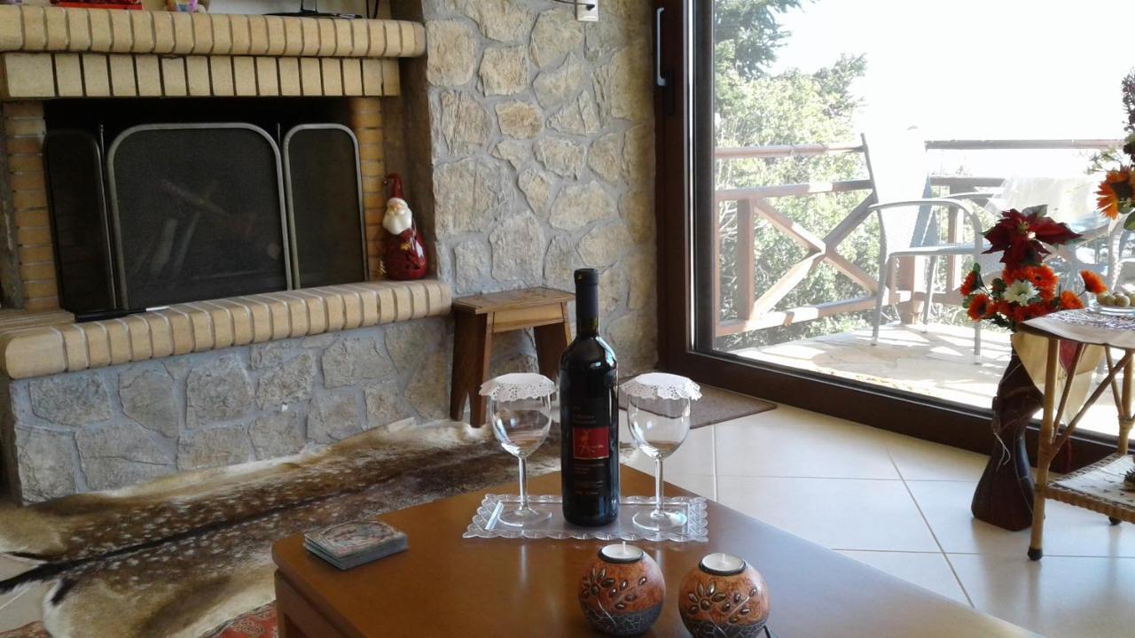 Elatos Cozy Studio Ano Trikala Buitenkant foto