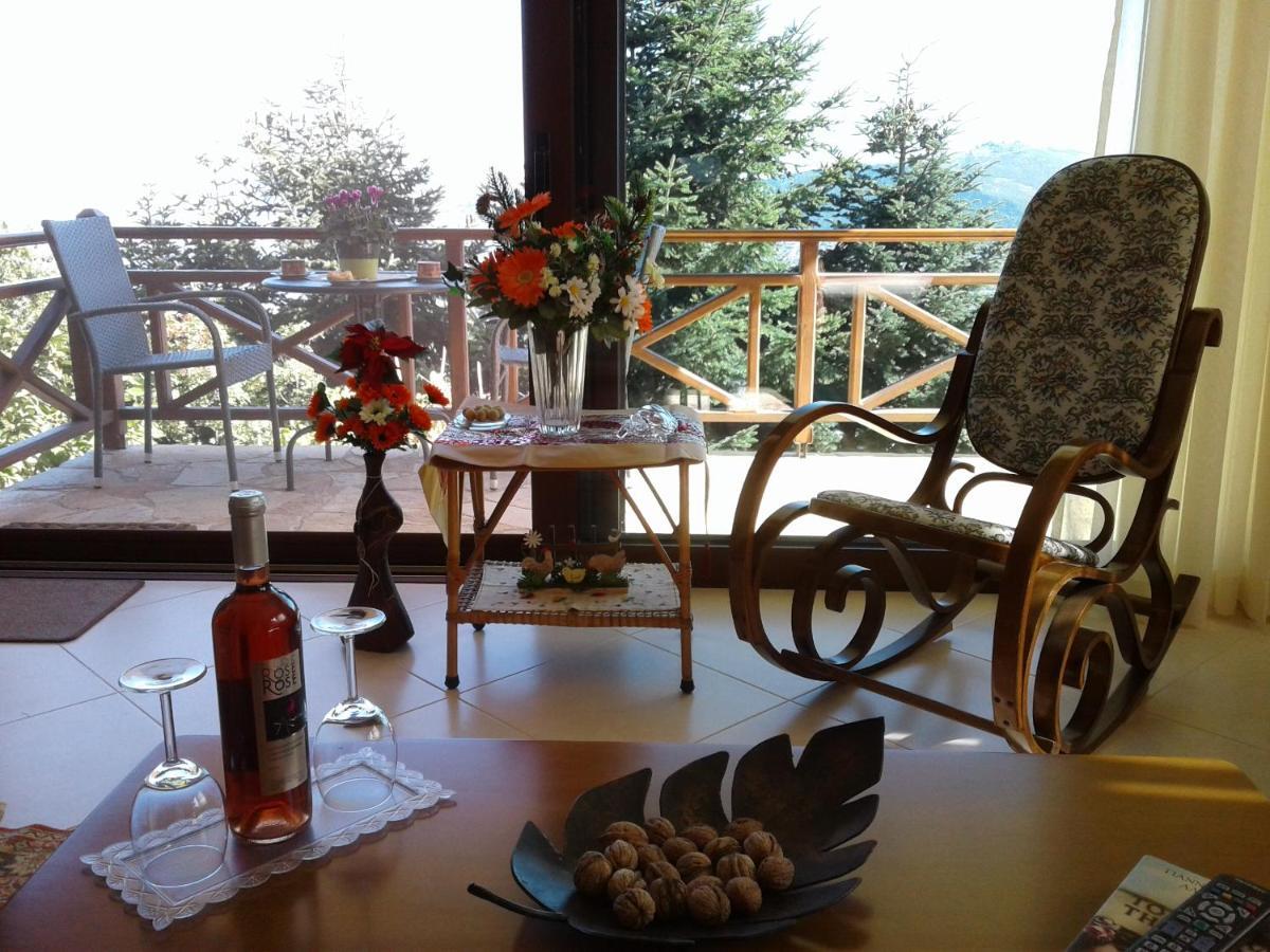 Elatos Cozy Studio Ano Trikala Buitenkant foto