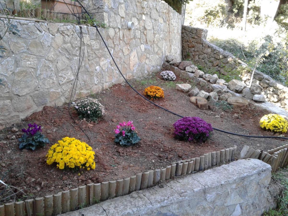 Elatos Cozy Studio Ano Trikala Buitenkant foto